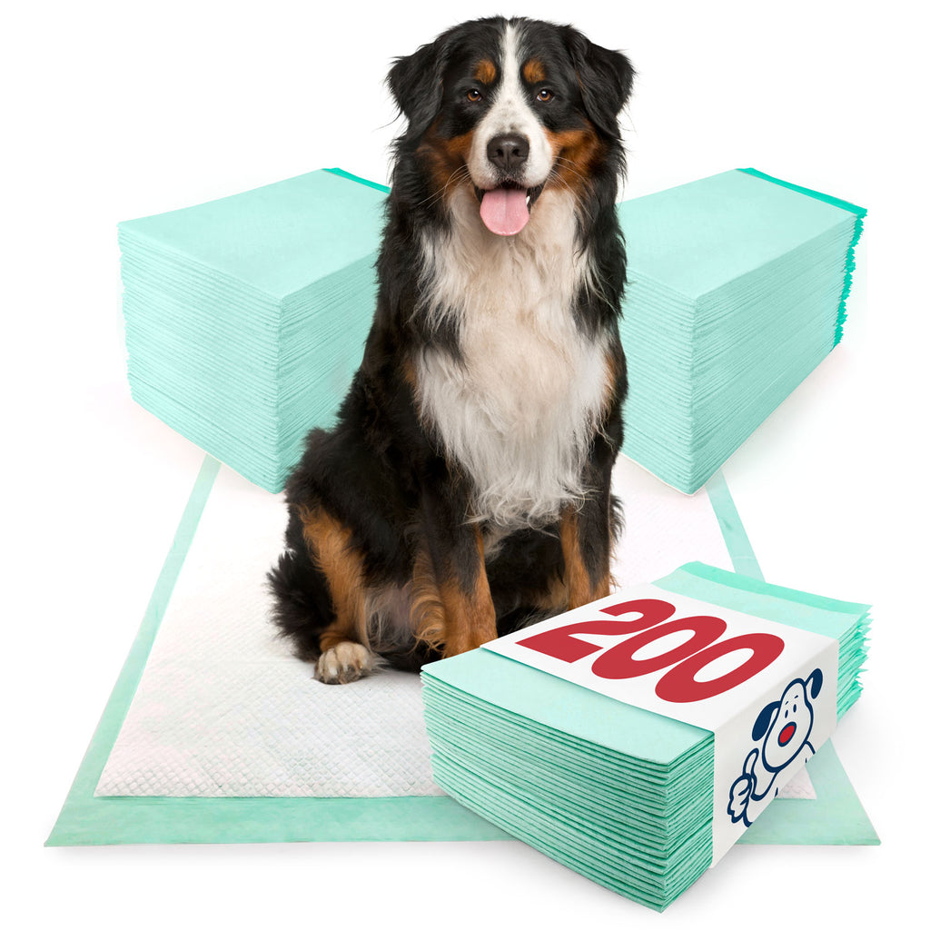 ValuePad Plus Puppy Pads, Extra Large 28x36 Inch, 200 Count BULK PACK - Premium Pee Pads for Dogs, Tear Resistant, Super Absorbent Polymer Gel Core, 5-Layer Design 