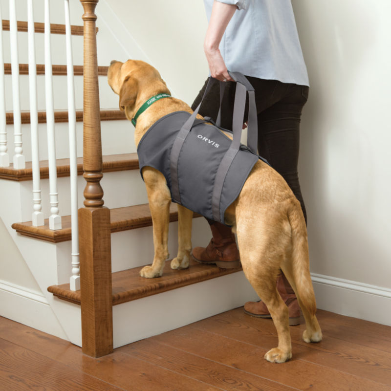 Dog Sling Lift